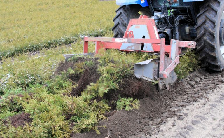 2011_04_18_Seedling_Harvest_Tractor_Lifting_detail_7287