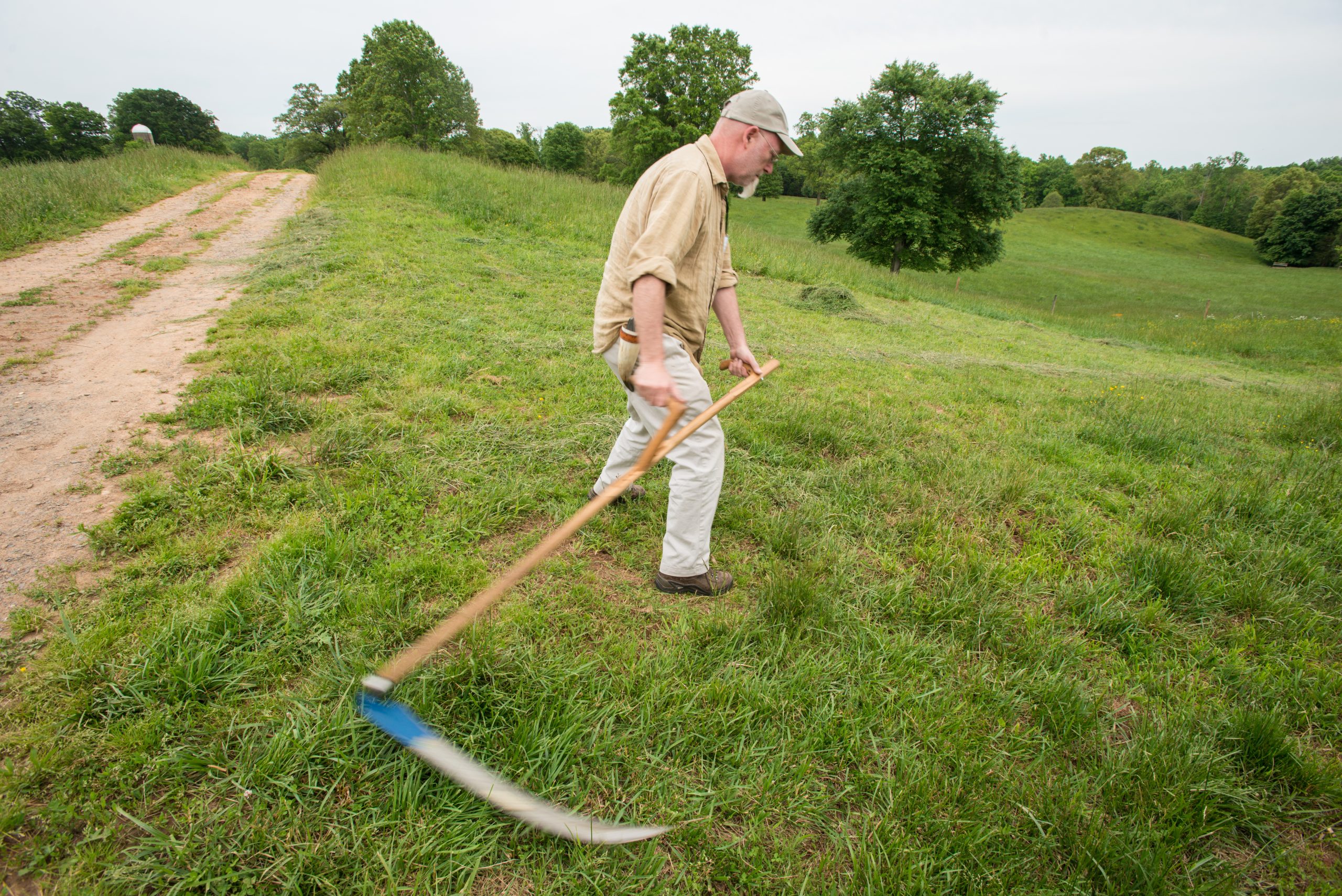 The Scythe of Scorpio: Why Stagnation Is a Strategic Weapon