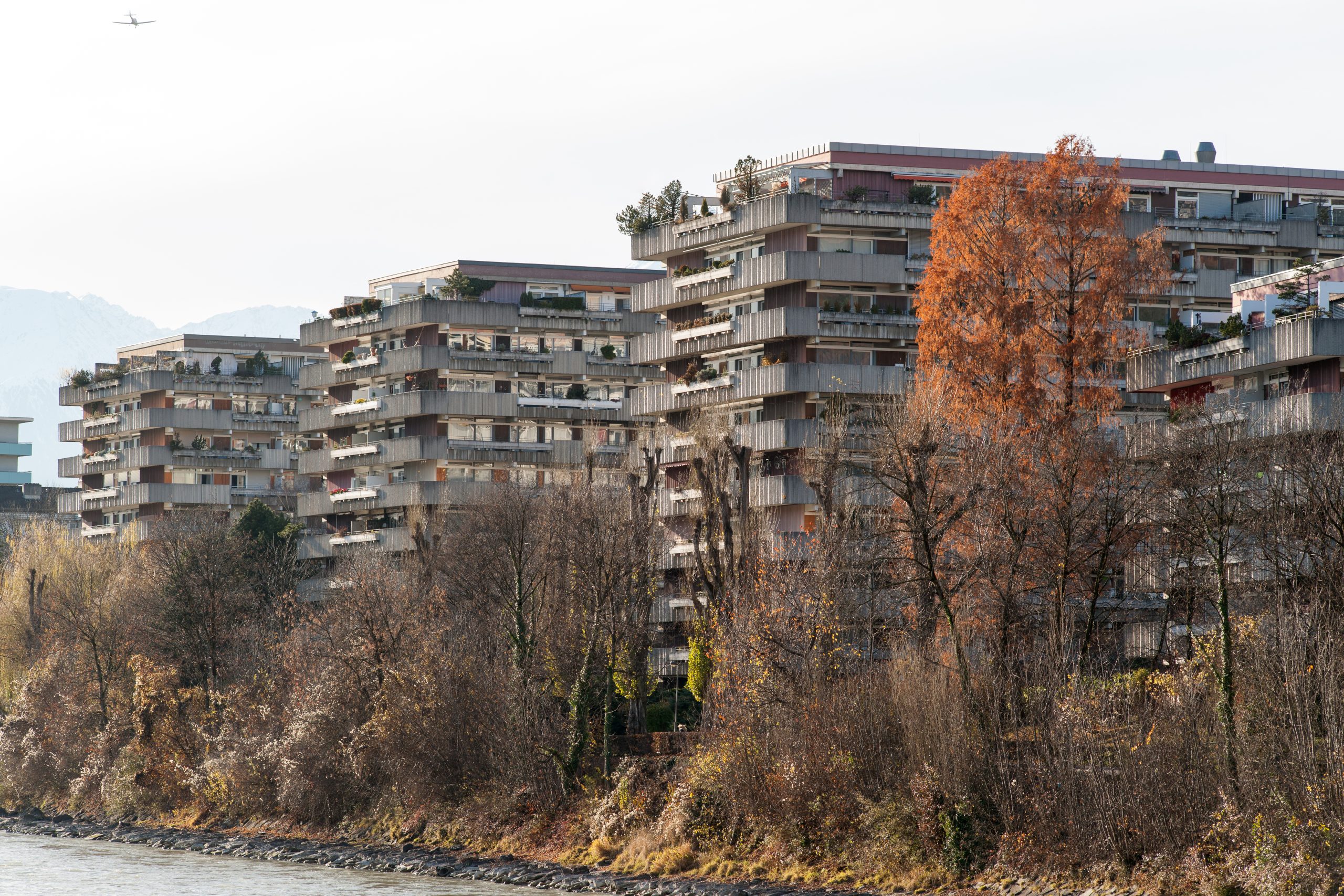 The Brutalism of Scaling: Why More Is the Enemy of Momentum