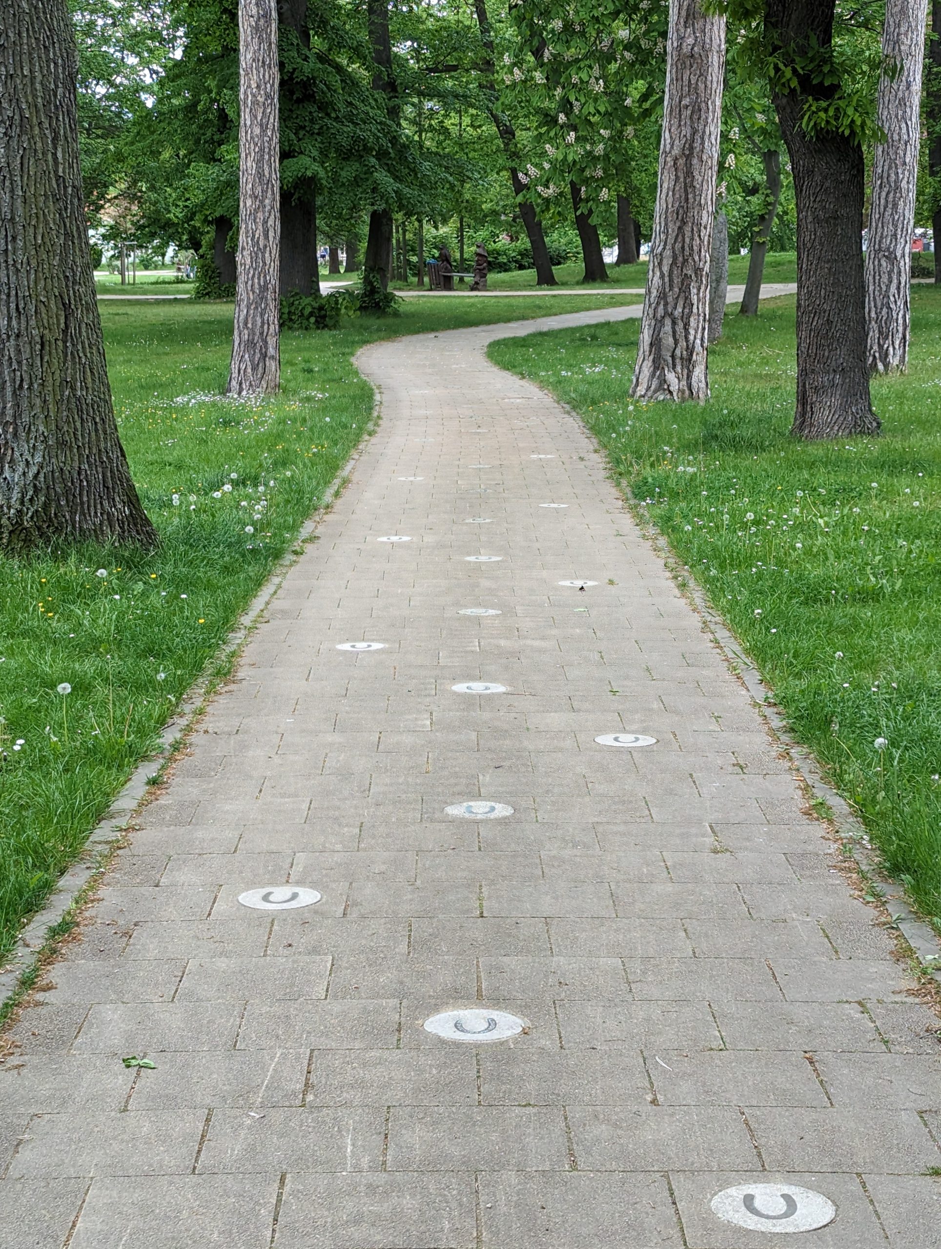 20240504_xl_1539-Mythenweg_Thale