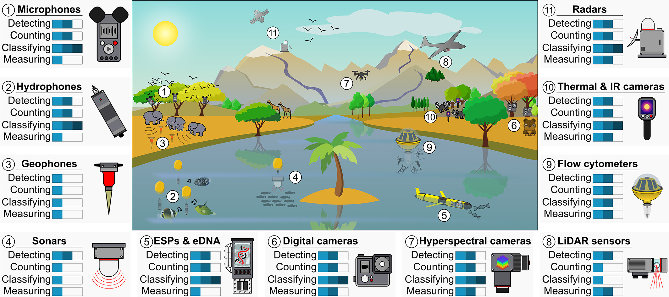 Monitoring groups should report findings directly to the governing council.
