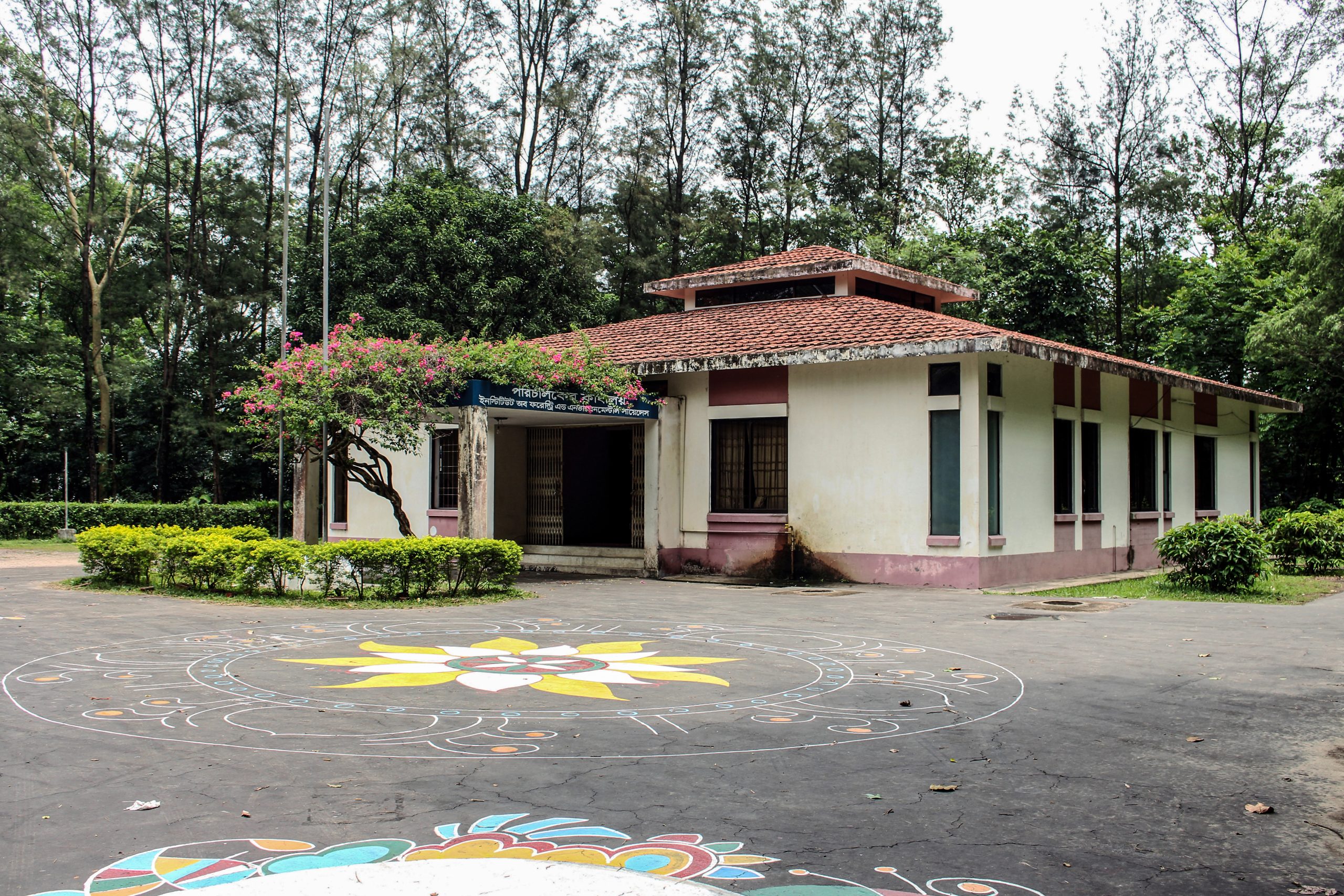 Administrative building, Institute of Forestry and Environmental Sciences