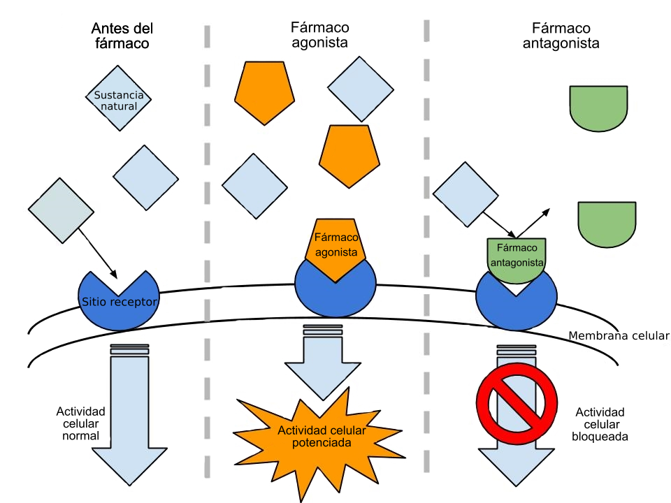 The Antagonist’s Edge: Why Pelaphiel Demands a Controlled Chaos Strategy
