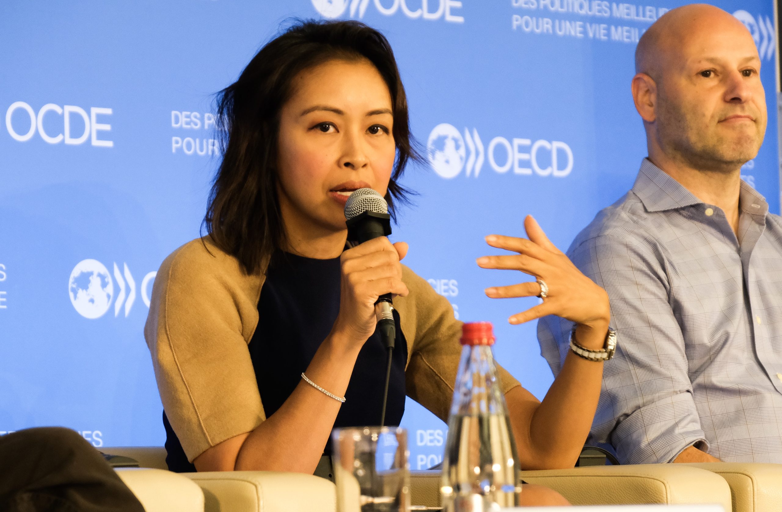 The OECD AI Principles emphasize the importance of inclusive growth and sustainable development.