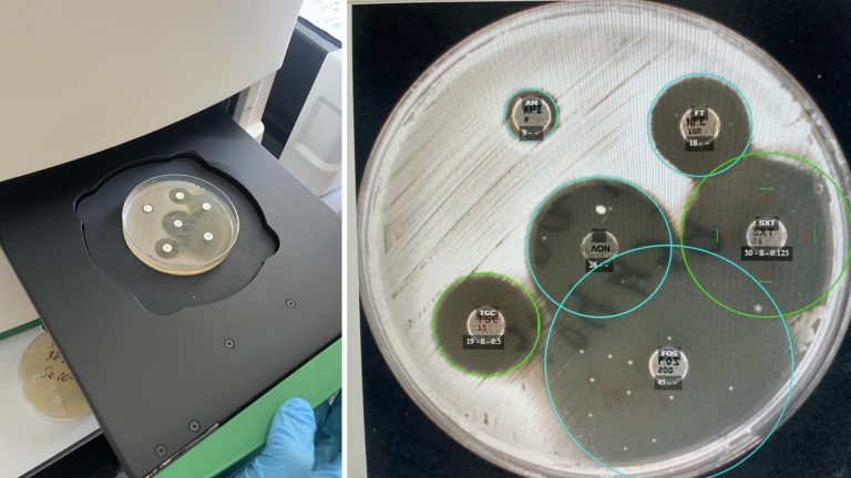 Antibiotic_Sensitivity_Testing_Plate_reader-3