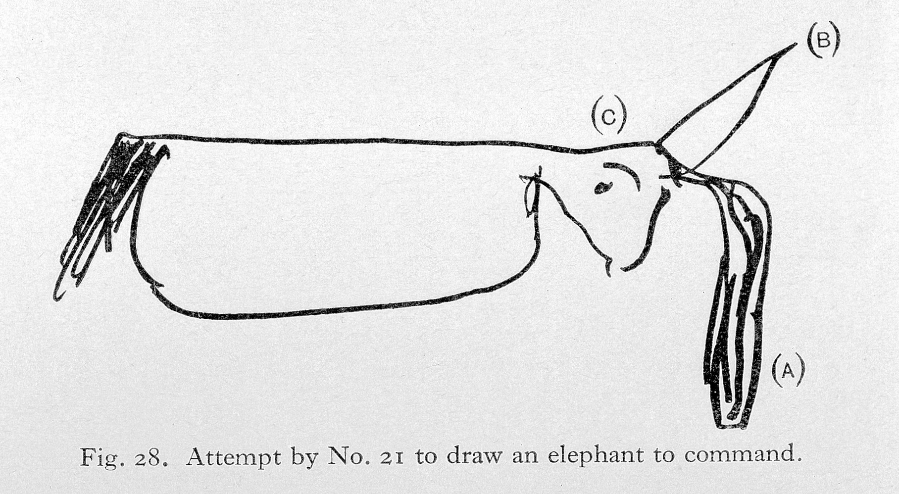 Formulate ethical guidelines that incorporate human dignity as a non-negotiable principle in algorithmic decision-making. L0023680 Aphasia, attempt to draw an elephant