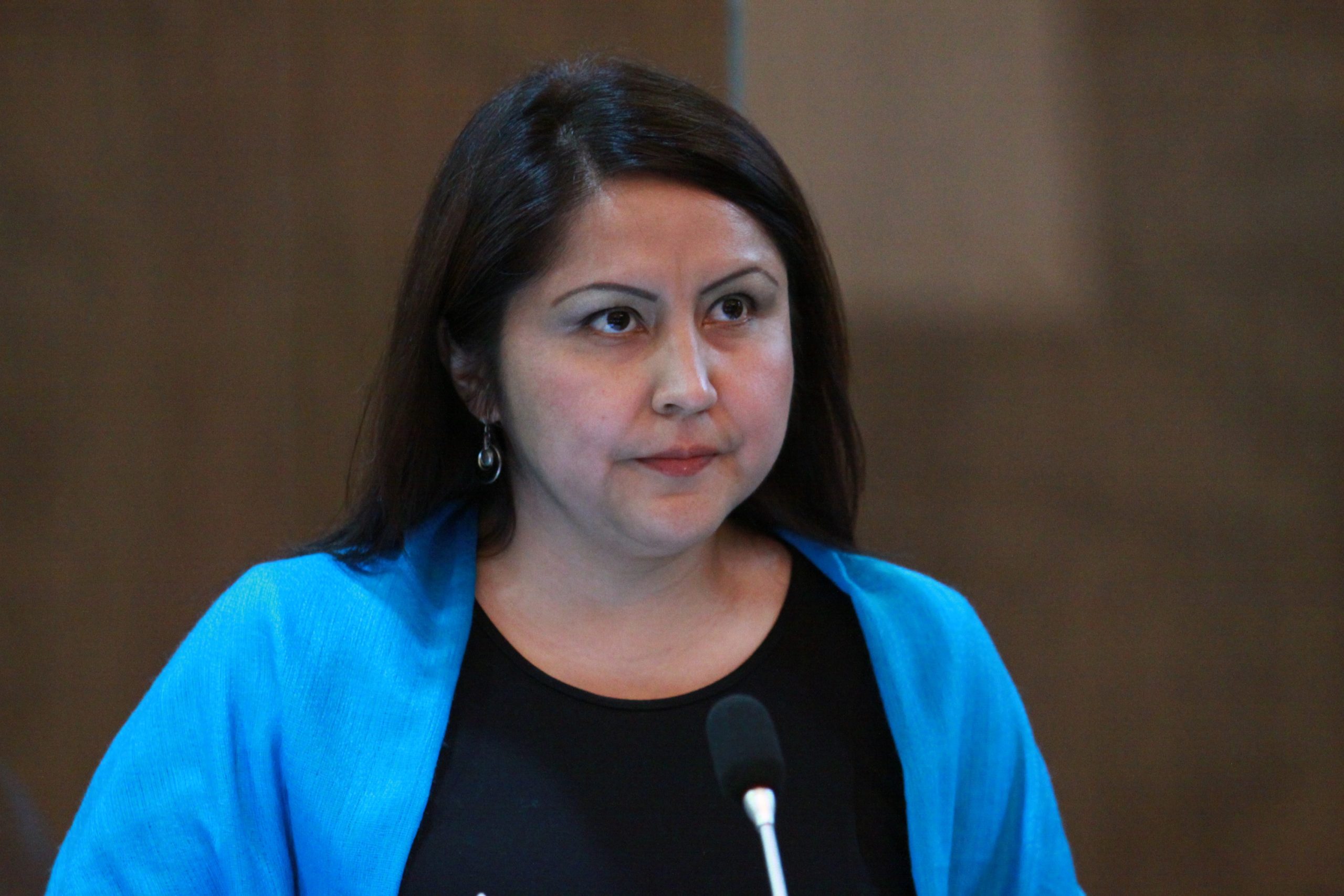 Include AI safety compliance as a mandatory component of vendor procurement processes. AsambleC3ADsta_Ximena_PeC3B1a_en_su_intervenciC3B3n_en_la_sesiC3B3n_No.-_243_del_Pleno_de_la_Asamblea_Nacional_28931794493829