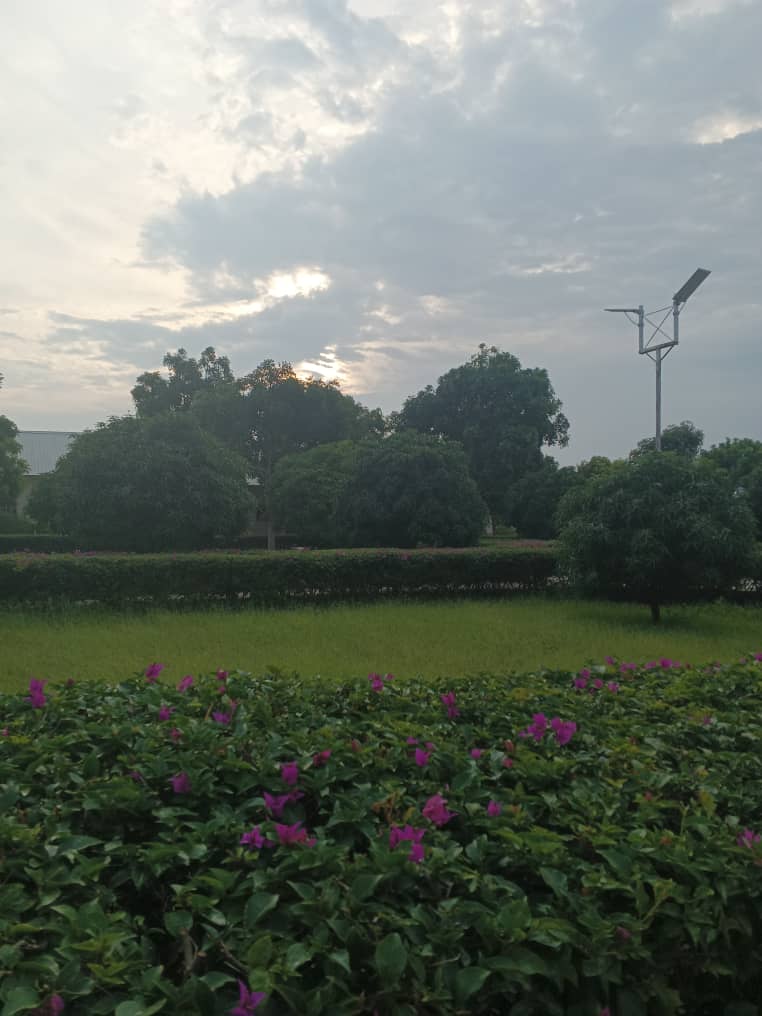 Background_of_Pen_Resource_University