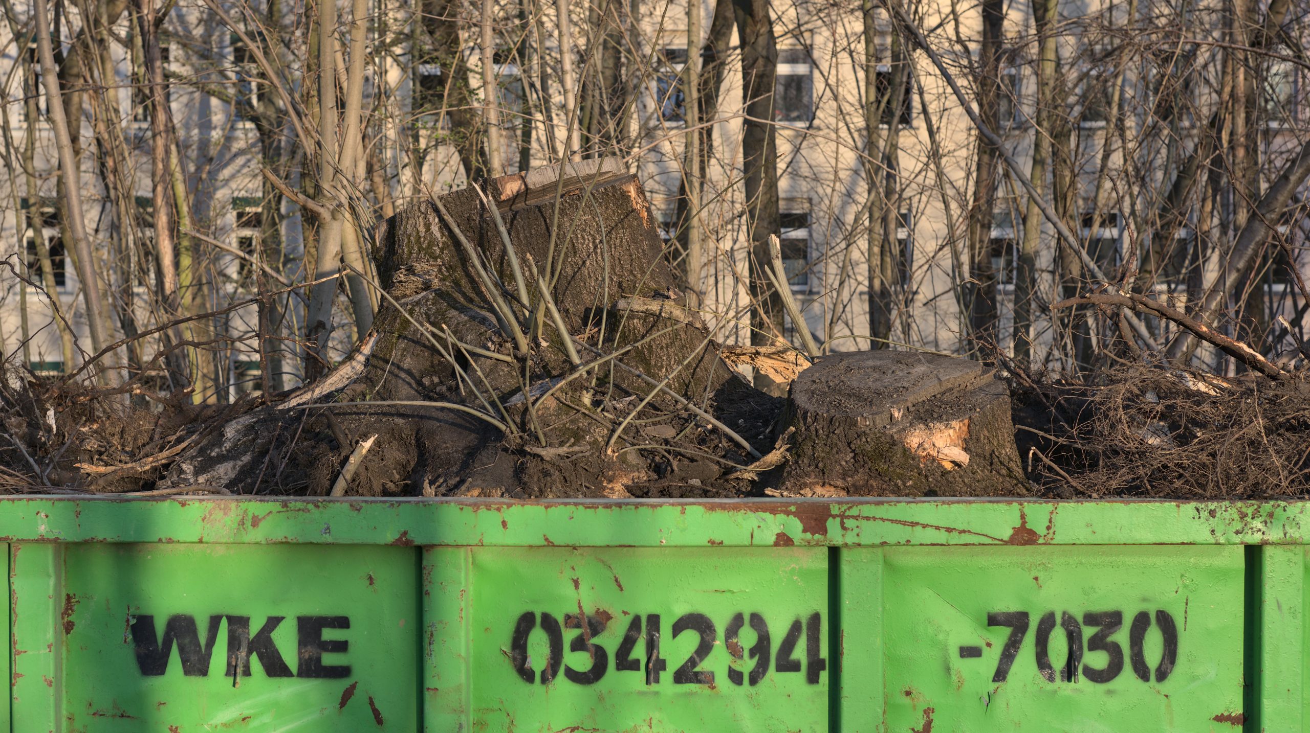 Baumwurzeln_in_einem_Container-1