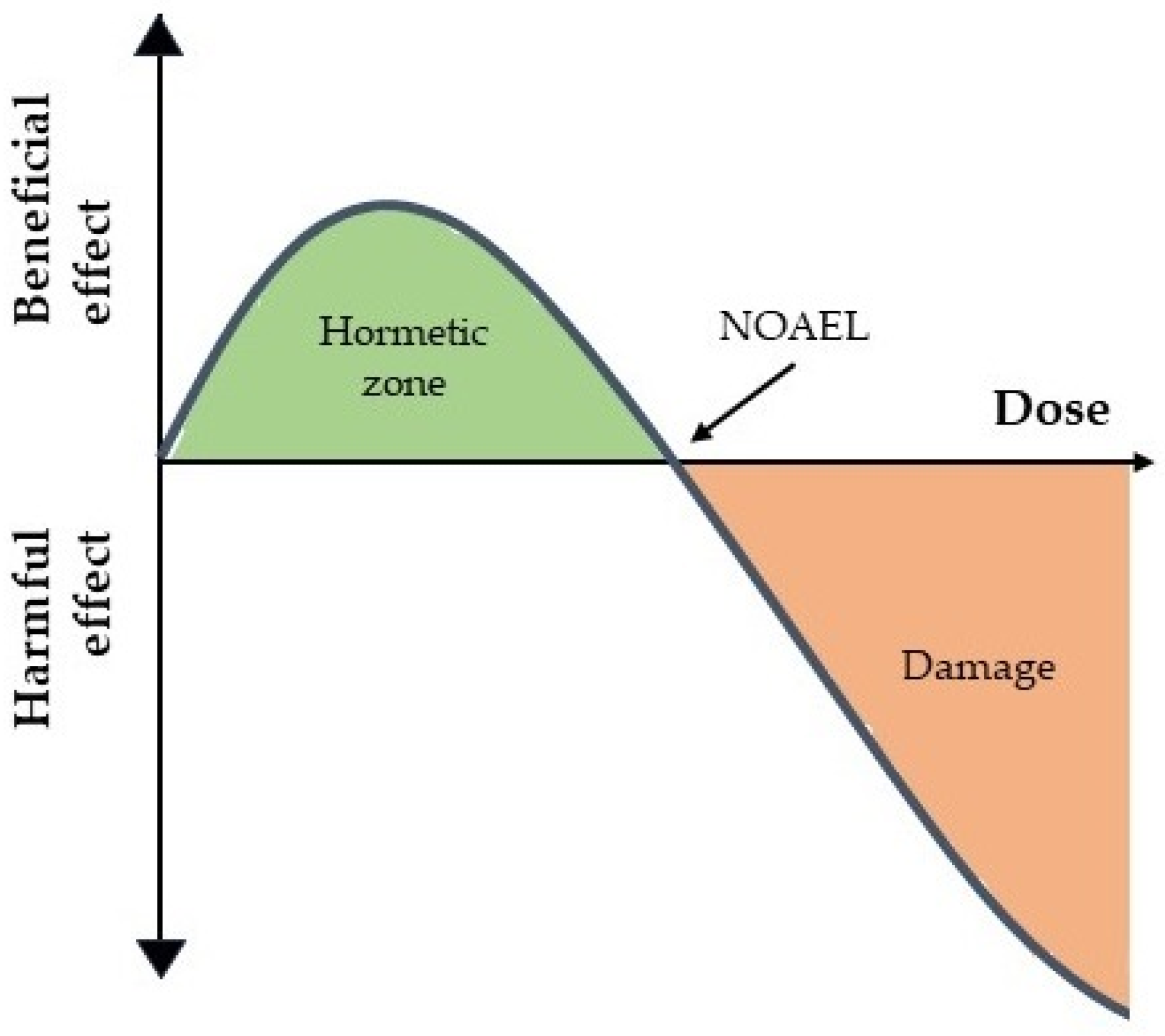 The Hormetic Trap: Why Elite Performers Must Stop Over-Optimizing Recovery