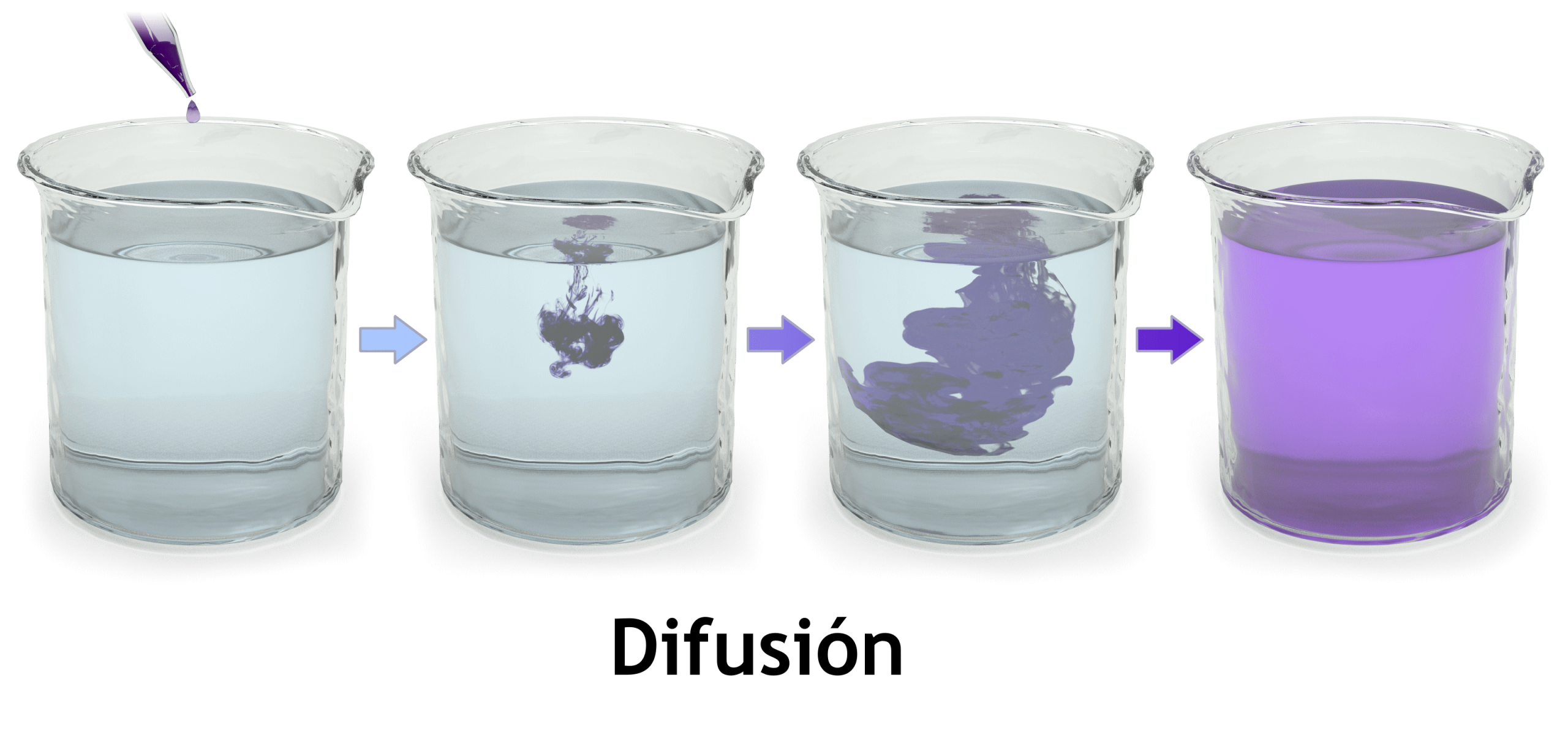 Map the diffusion of esoteric symbols using geospatial analysis to correlate ritualsite locations with trade routes and cultural exchange. Blausen_0315_Diffusion-es