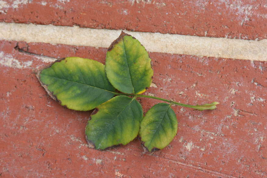 The Toxicity of Reciprocity: When ‘Value Exchange’ Becomes a Strategic Trap