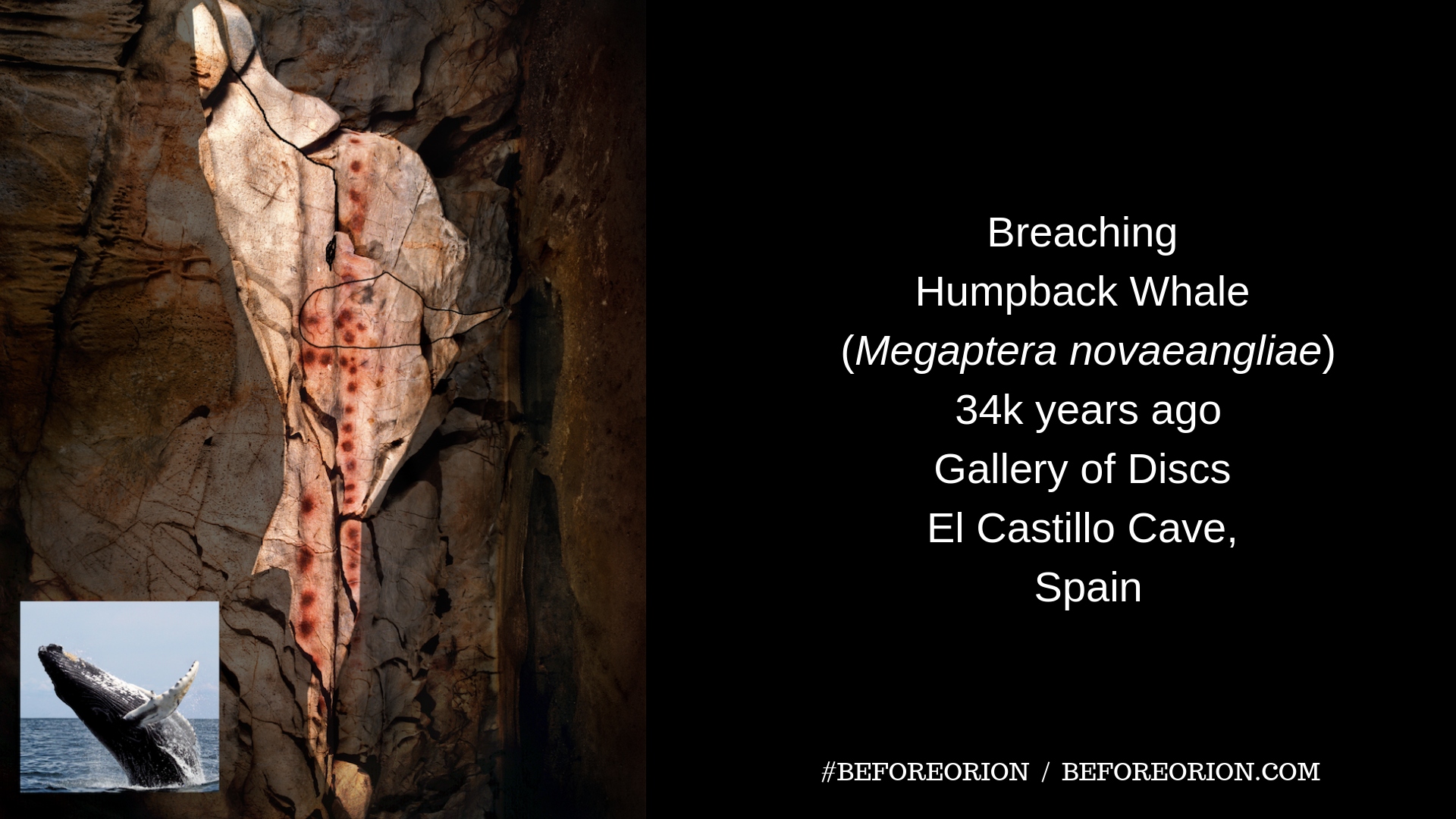 Breaching_Humpback_Whale2C_EL_Castillo_Cave2C_Cantabria_Spain_-_Upper_Paleolithic_Cave_Art