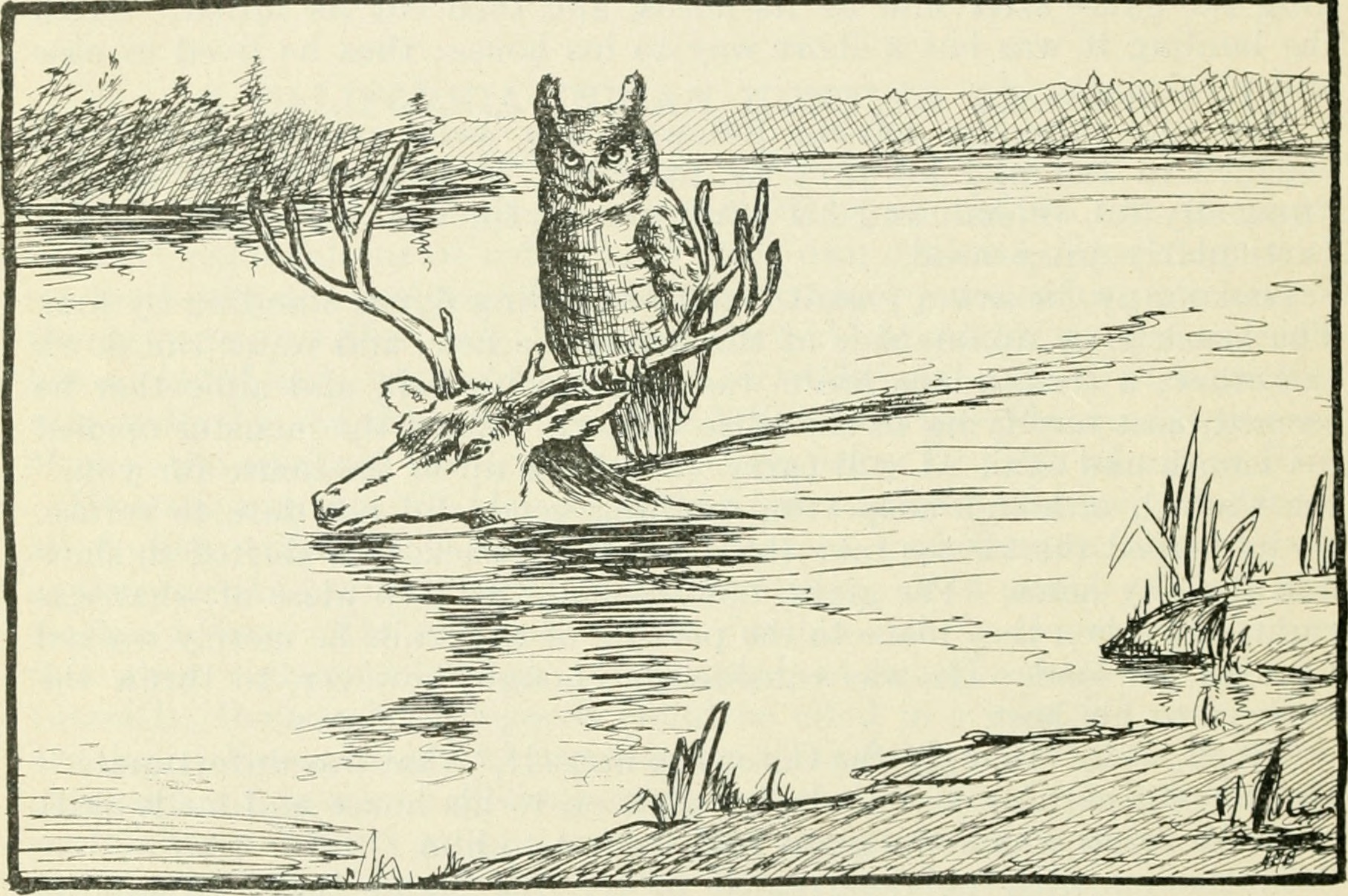 California_fish_and_game_282032571077929