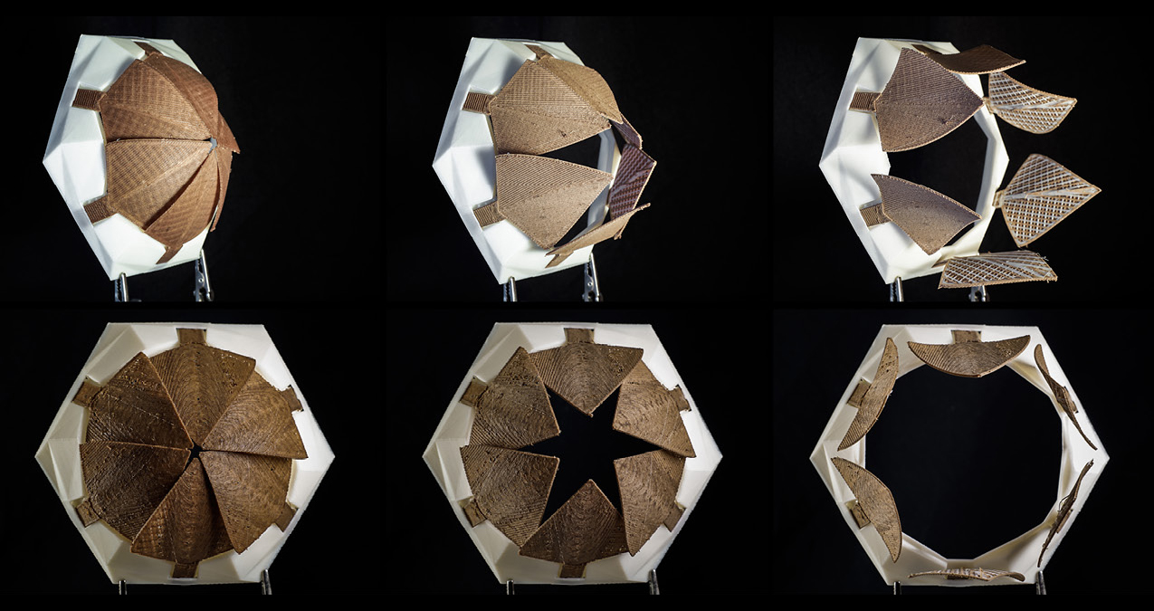 Correa_David_biomimetic_4D_printing