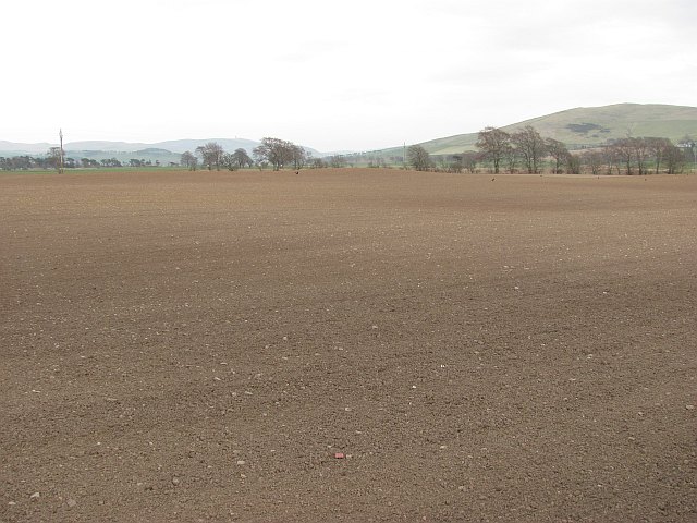 Cultivated Meat Price Parity: The Future of Food Economics Cultivated_land2C_Boghall_-_geograph.org_.uk_-_2022495