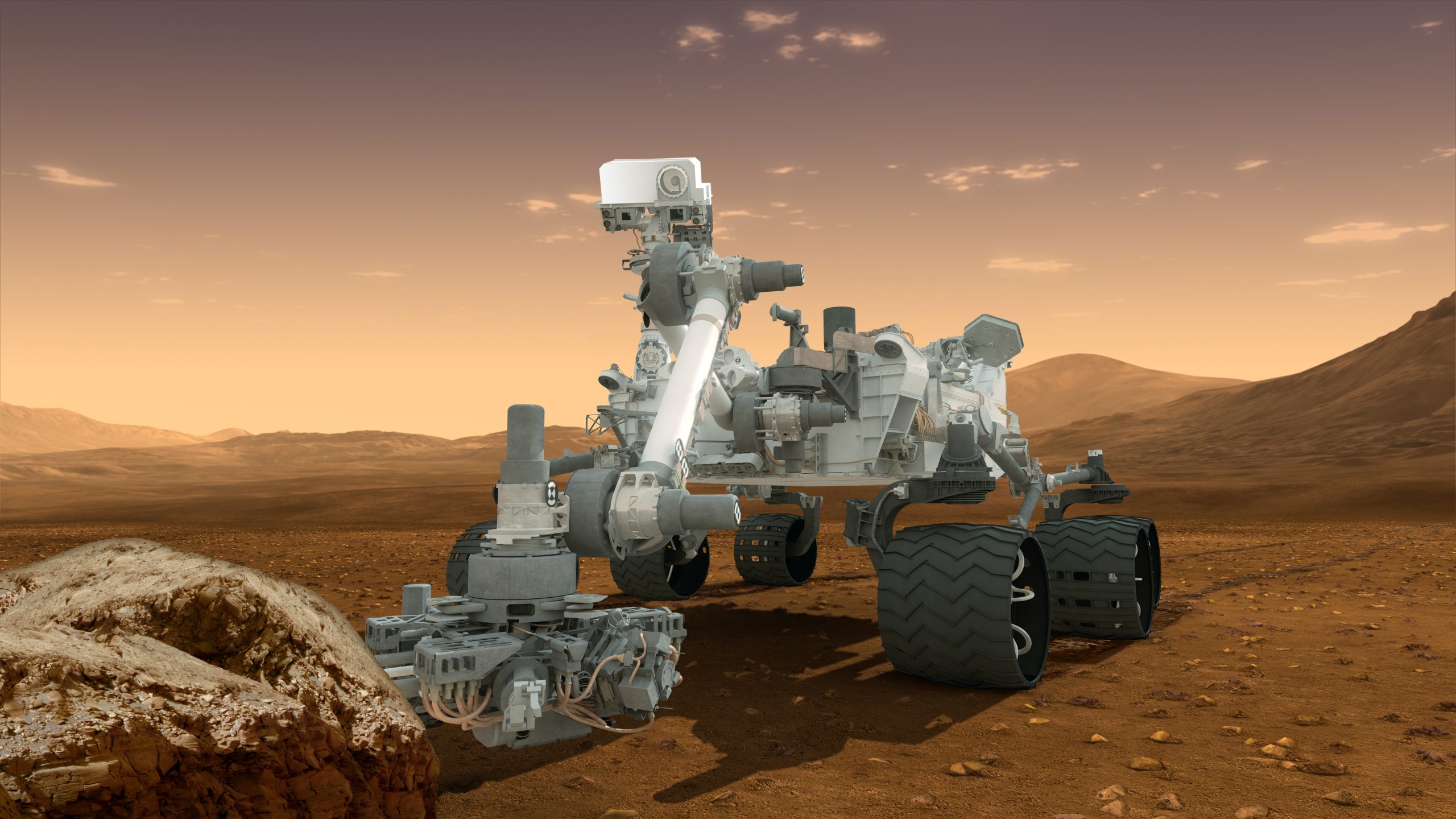 Curiosity as the Engine of Self-Directed Growth