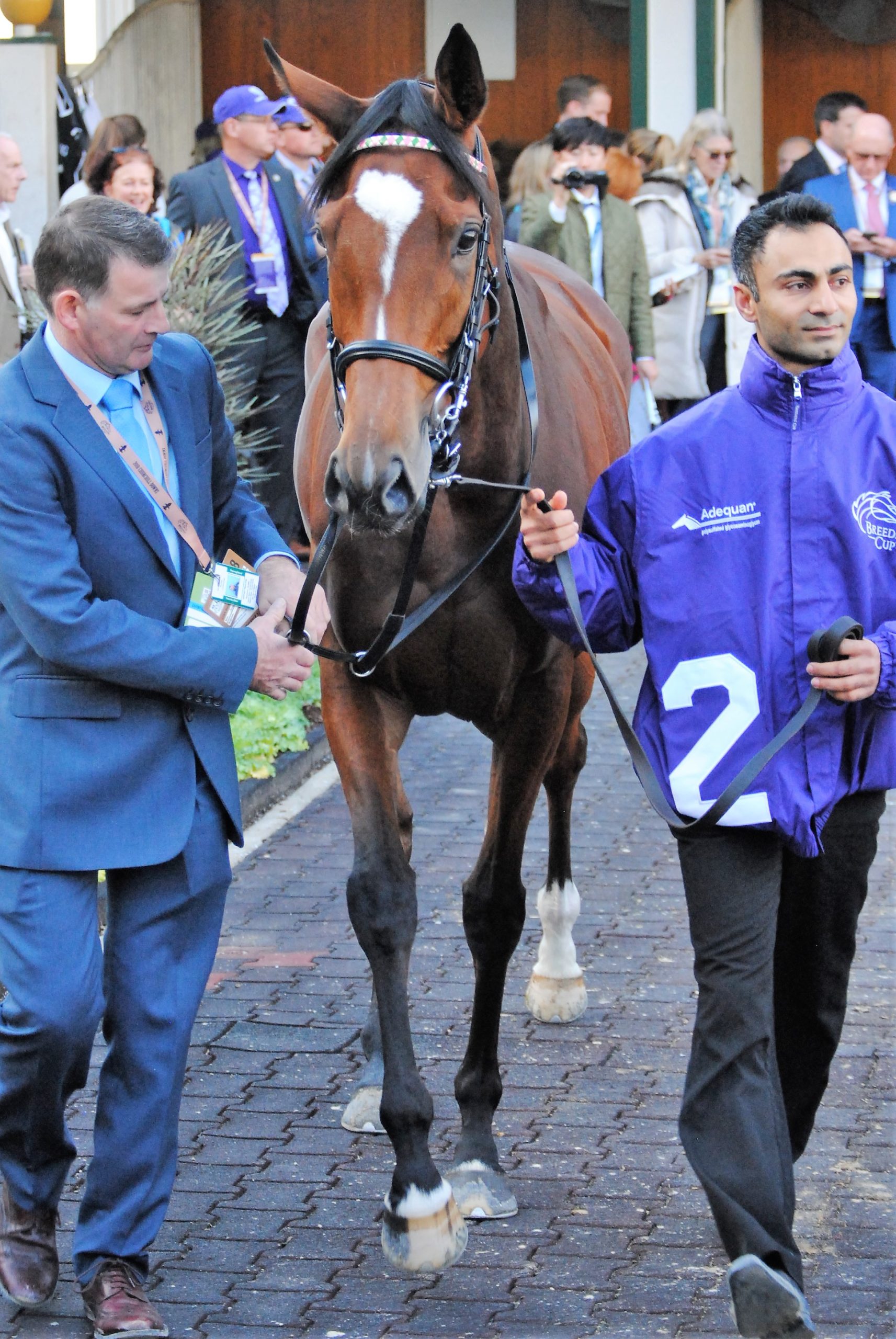 DSC_3308Enable