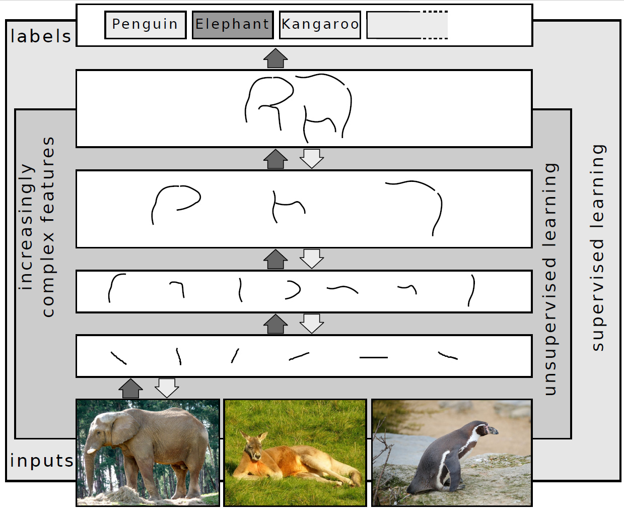 Deep_Learning-1