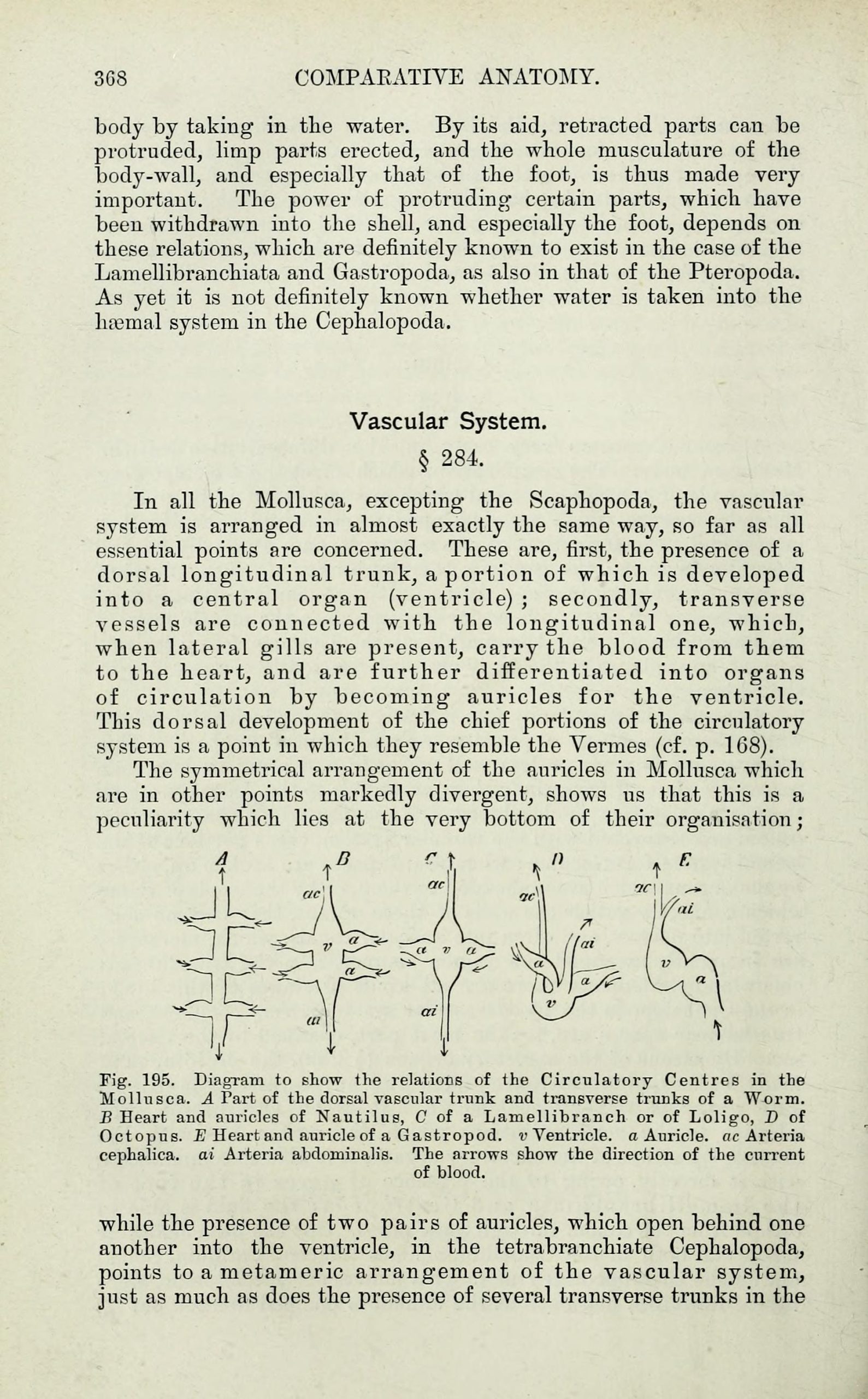 Comparative analysis interfaces show how current inputs differ from historical cases. Elements_of_Comparative_Anatomy_28Page_36829_BHL33482931-1