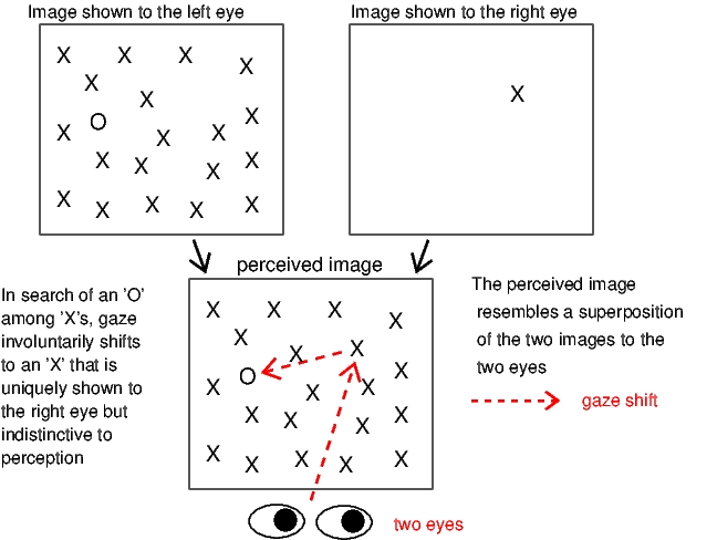 Saliency maps provide visual representations of data points that trigger classification in computer vision systems. Gaze_ShiftByOcularSingleton_wiki_HigherResolution