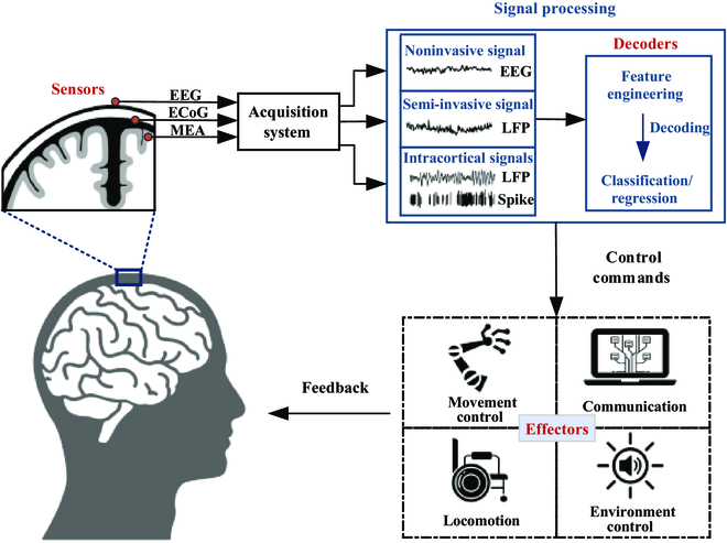 Brain-Computer Interfaces: Restoring Motor Function & Agency