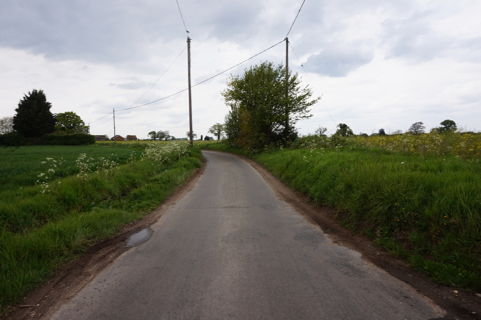 Heater_Lane_towards_Biofield_-_geograph.org_.uk_-_6152906