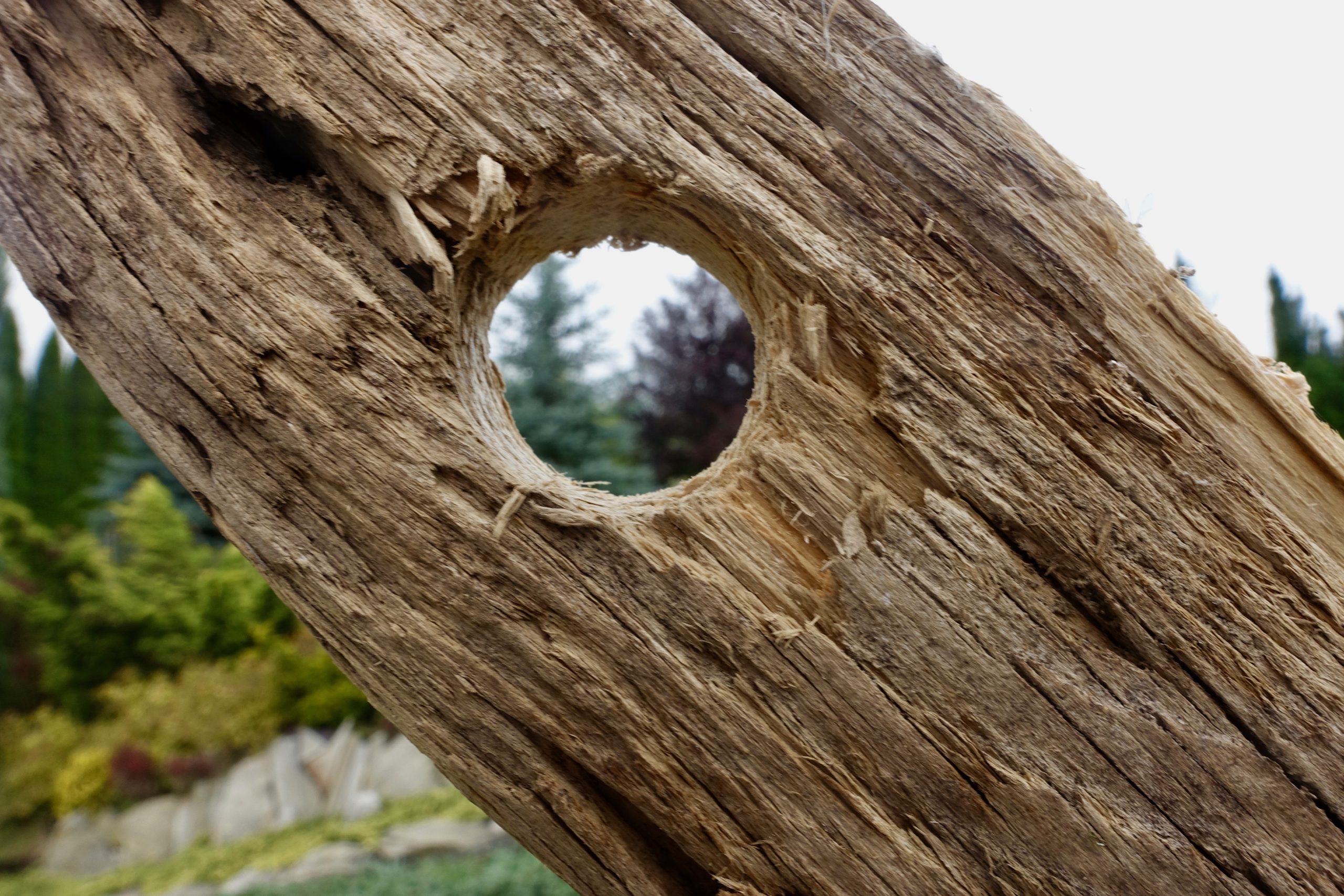 Penetration testing of the model’s API endpoints prevents unauthorized access or manipulation of safety guardrails. Hole_in_wood-1