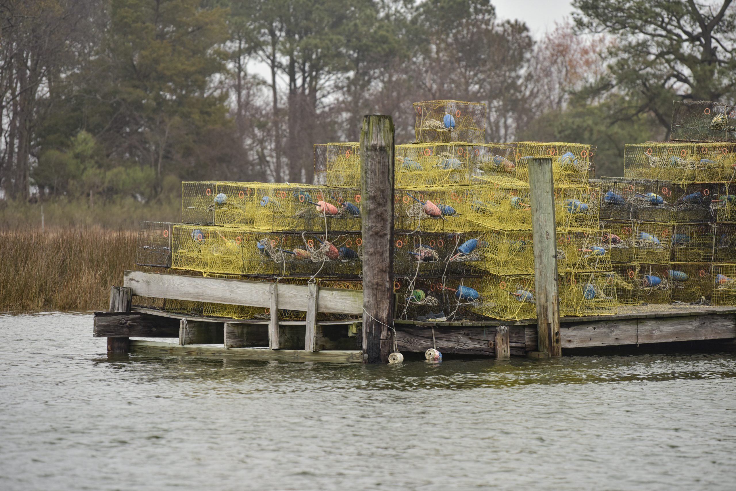Invest in local infrastructure to ensure metadata remains under communal control. Investing_in_Wastewater_Infrastructure_is_Key_to_Preserving_Smith_Island2C_Maryland_on_3_April_2024_-_50-1