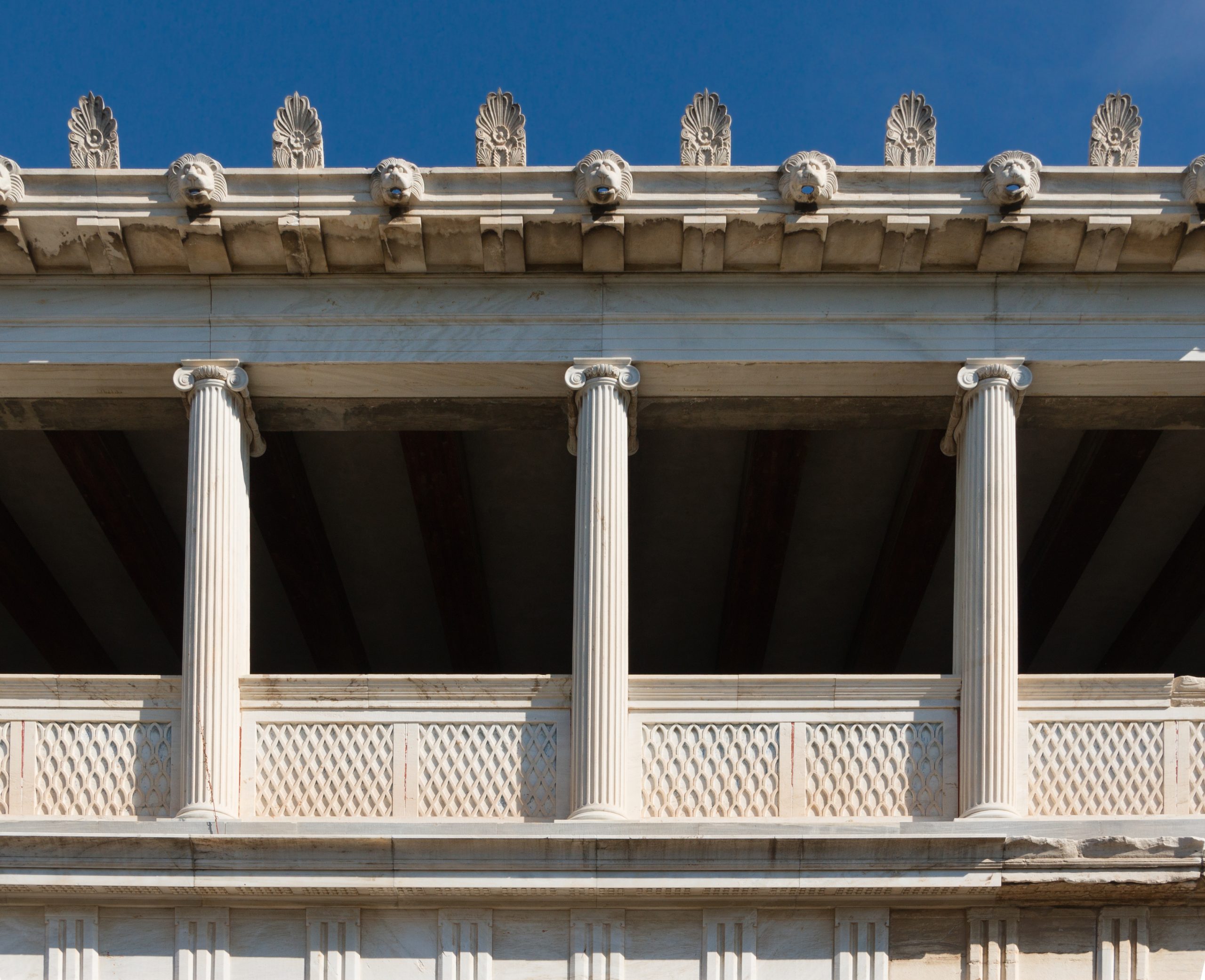 The Stoic’s Beast: Why Executive Leadership Needs Interspecies Feedback Loops