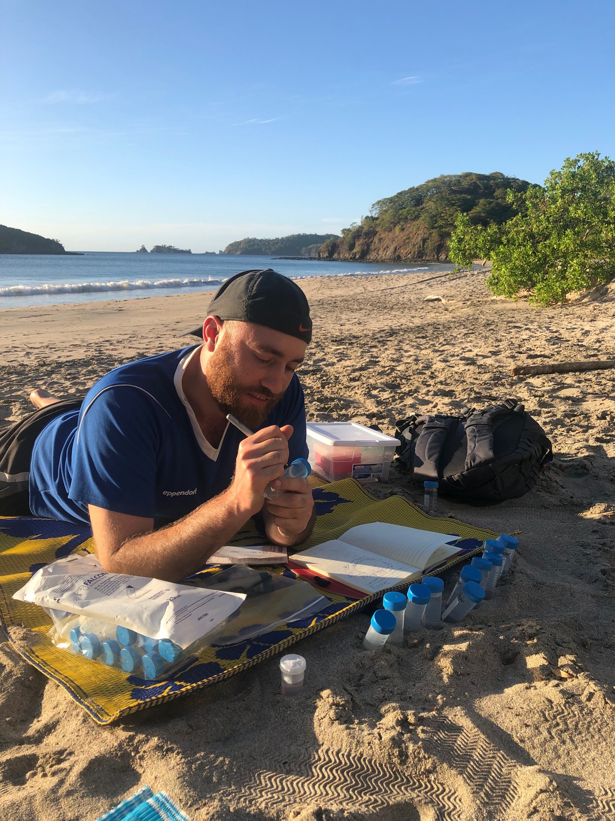 Use synthetic data to test edge cases without compromising user privacy. Synthetic_Biology_Costa_Rican_Beach-2