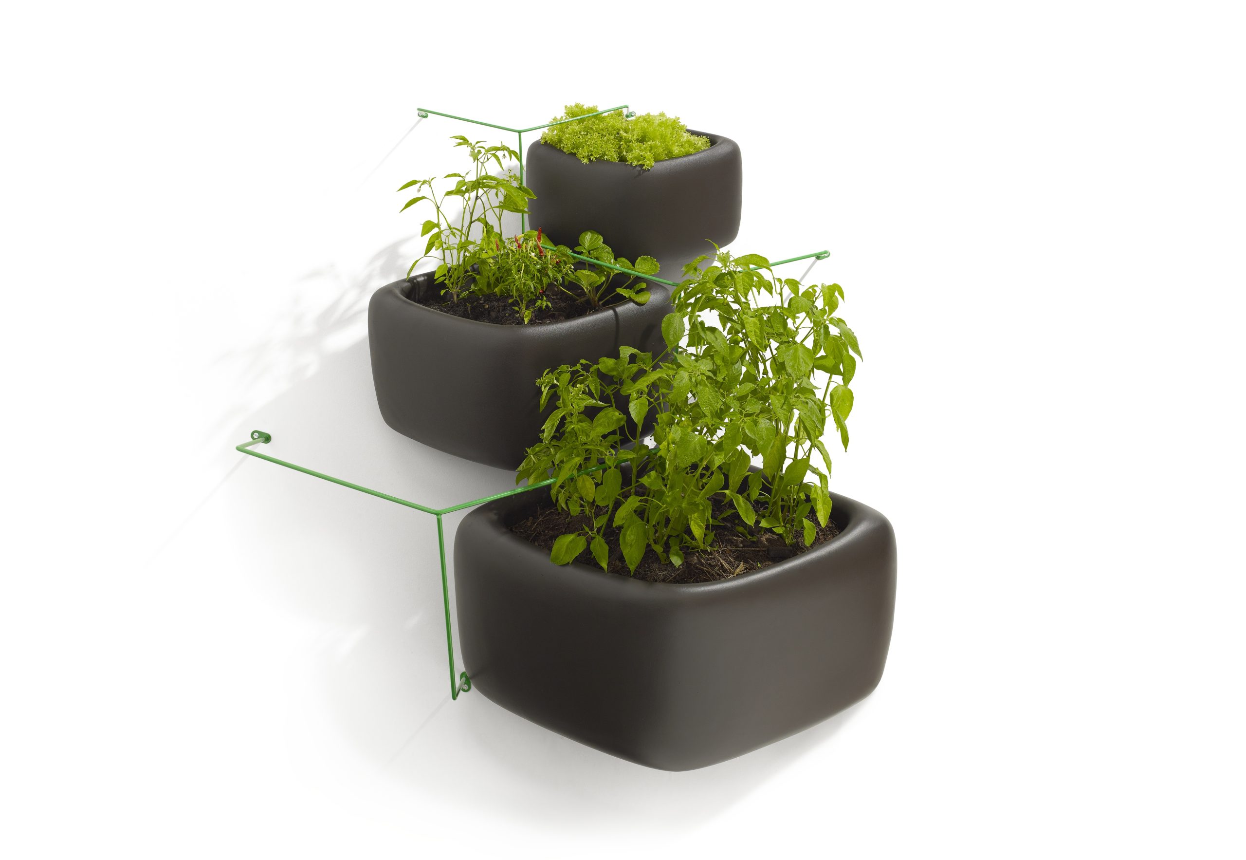 Beyond the Leaf: Why the Next Vertical Farming Boom Won’t Be About Produce