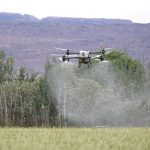 <h1>Autonomous Precision Agriculture: The New Standard for Complex Systems</h1> Drone spraying pesticides over a green field, highlighting modern agricultural technology.