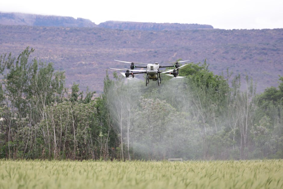 Drone spraying pesticides over a green field, highlighting modern agricultural technology.