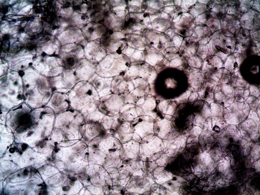 Bio-Inspired Cellular Robotics: The Future of Decentralized AI