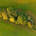 <h1>Bio-Inspired Climate Adaptation: The Future of Resilient Bioelectronics</h1> Stunning aerial shot of vibrant summer countryside landscape with lush green trees and fields in Zbraslavice, Czech Republic.