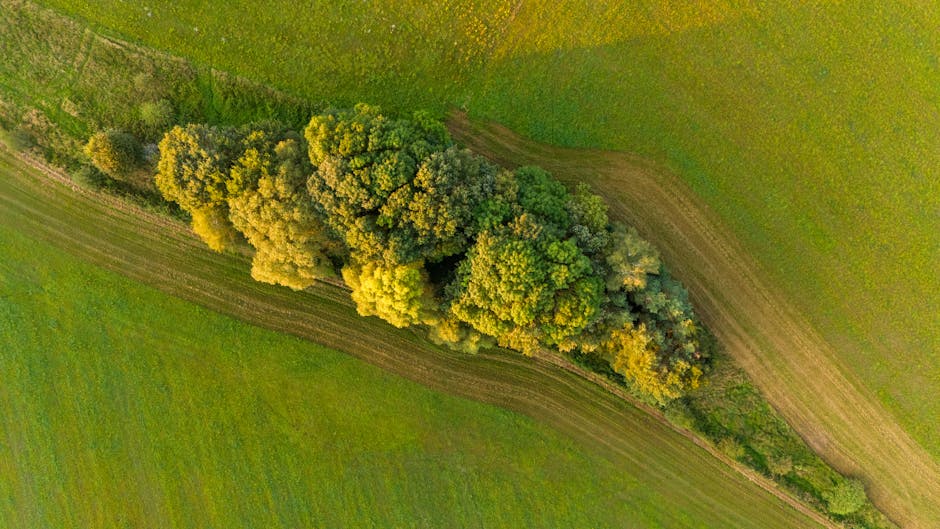 Stunning aerial shot of vibrant summer countryside landscape with lush green trees and fields in Zbraslavice, Czech Republic.