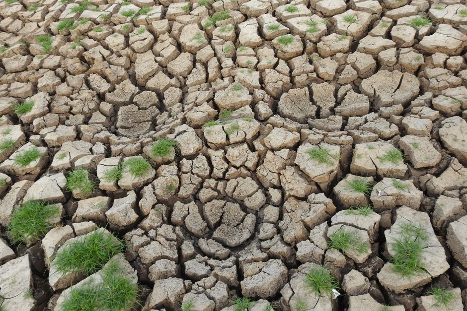 Causality-Aware Climate Adaptation for Economic Policy