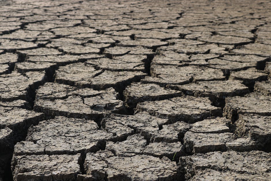 Climate Risk: A Strategic Framework for Operational Resilience