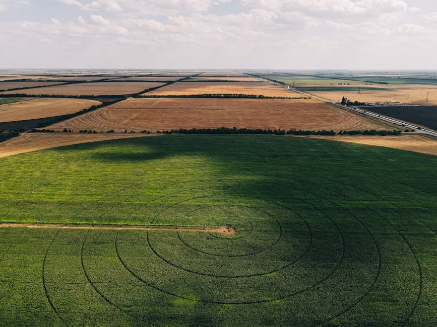 Stunning aerial view of a green circular field surrounded by rural landscape with crop fields.