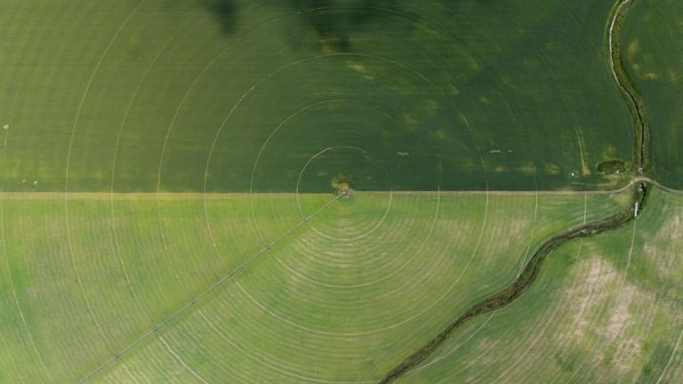 Aerial view showcasing farming irrigation circles and a river beside green fields.