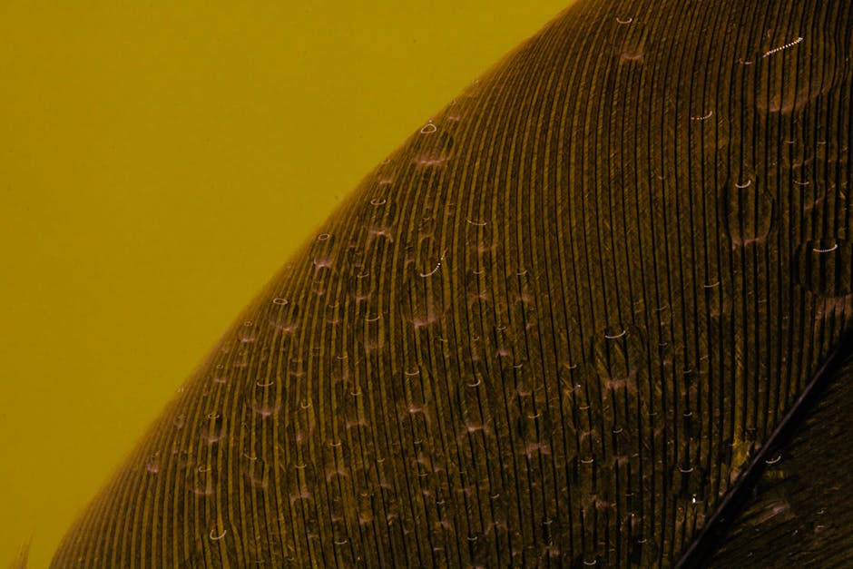 Macro image of a feather with visible water droplets, dark texture, on a vibrant yellow background.