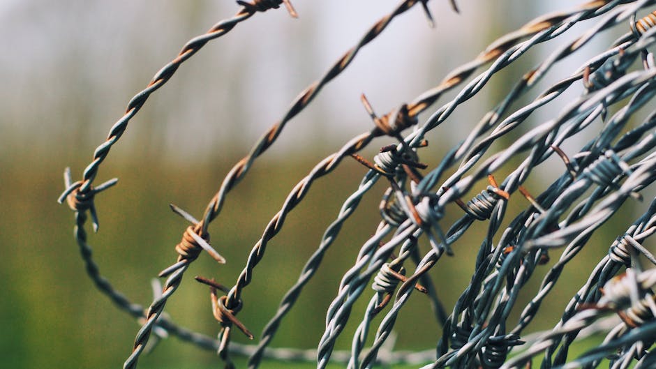 Detailed close-up of a rusty barbed wire fence with a soft focus background.