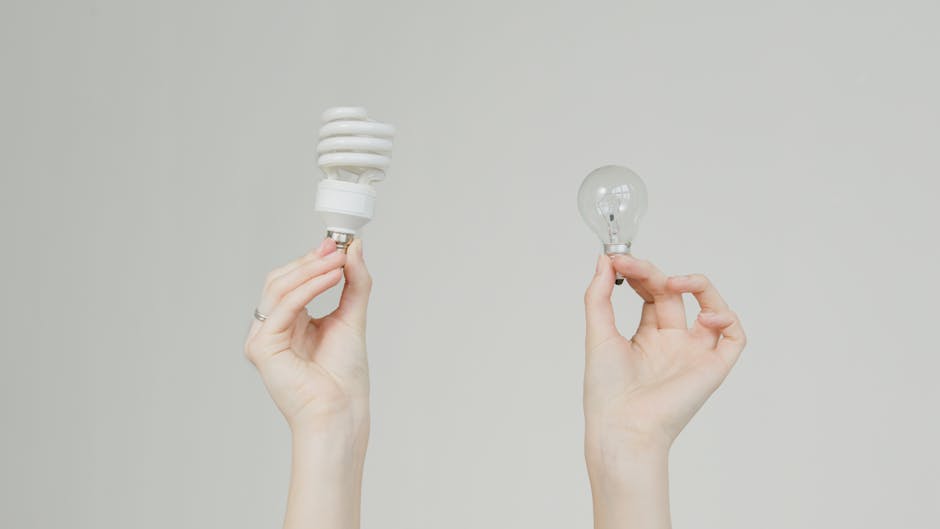 Hands hold incandescent and spiral light bulbs, symbolizing energy efficiency.