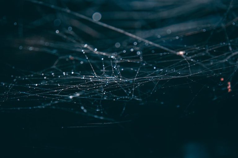 Intricate close-up of dewy spider webs against a dark background, evoking a mystical and moody atmosphere.