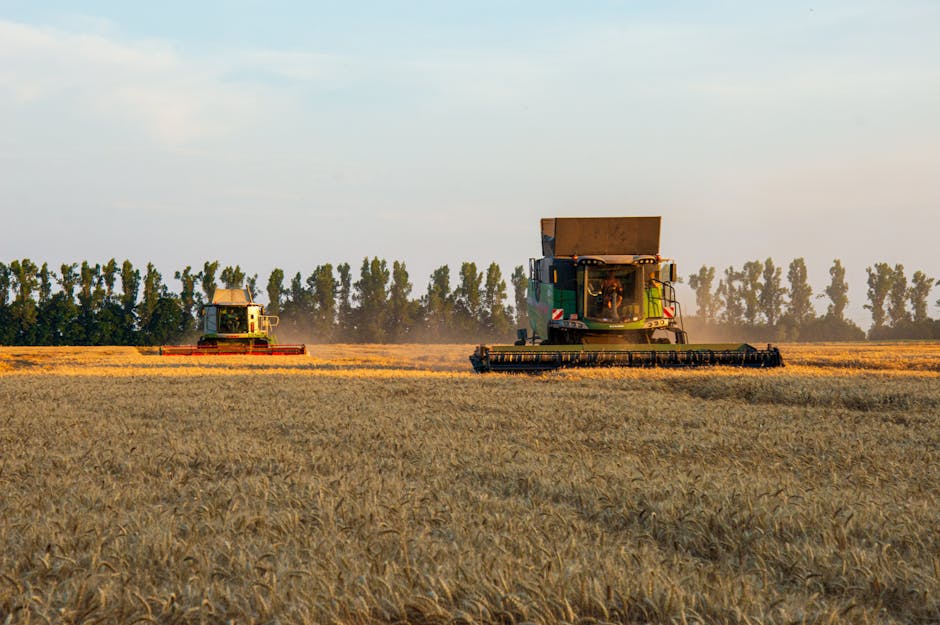 Future of Agritech: Multimodal Neuromorphic Chips & Algorithms