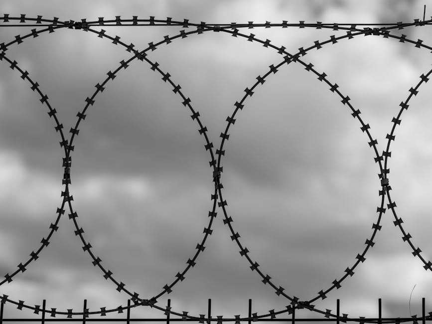 Barbed wire loops silhouetted against dark, overcast clouds, symbolizing security and boundaries.