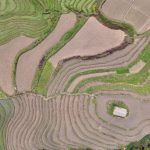 An aerial shot showcasing the intricate rice terraces in Hà Giang, Vietnam.