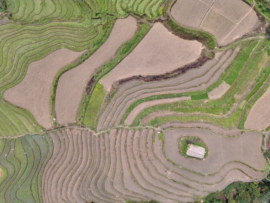 Interpretable Climate Adaptation Architecture & Synthetic Media