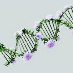 A creative representation of a DNA helix with blooming pastel roses, blending nature and science.